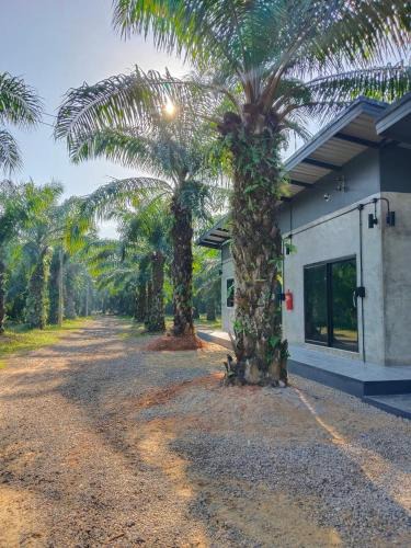 Chumphon House | บ้านสวนริมน้ำยางยวน 1