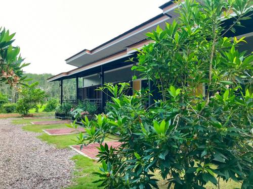 Khuan Khanun House | ใสโพธิ์โฮมสเตย์