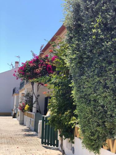 Vila Nova de Milfontes Villa | Casa da Oliveira