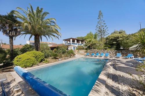 Farta Vacas Apartment | Quinta das Achadas - Mimosa