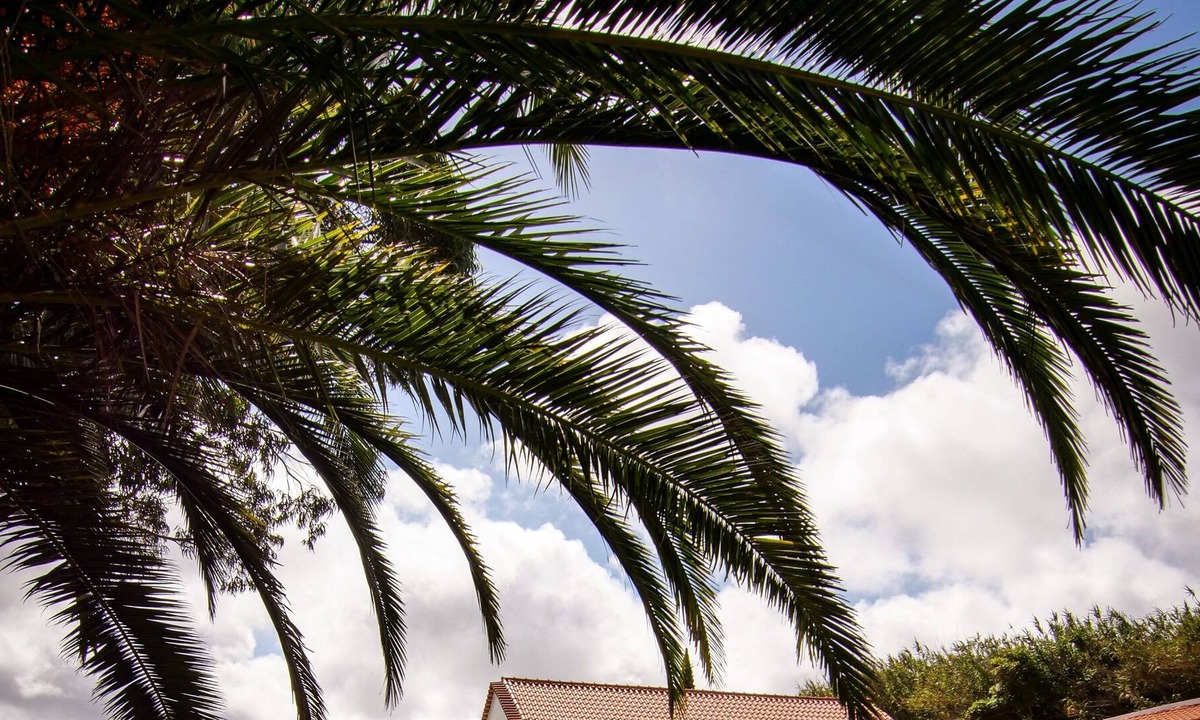 Banzao House | Quinta Pedra Firme - St Hilaire House