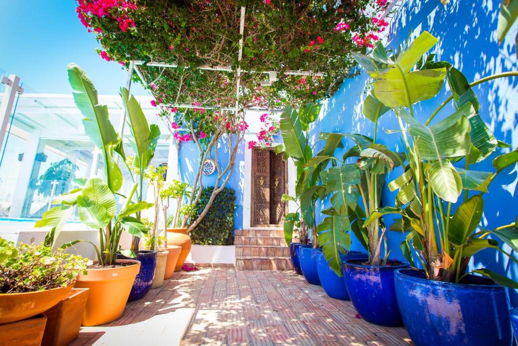 Moncarapacho e Fuseta House | Quinta Santa Inês