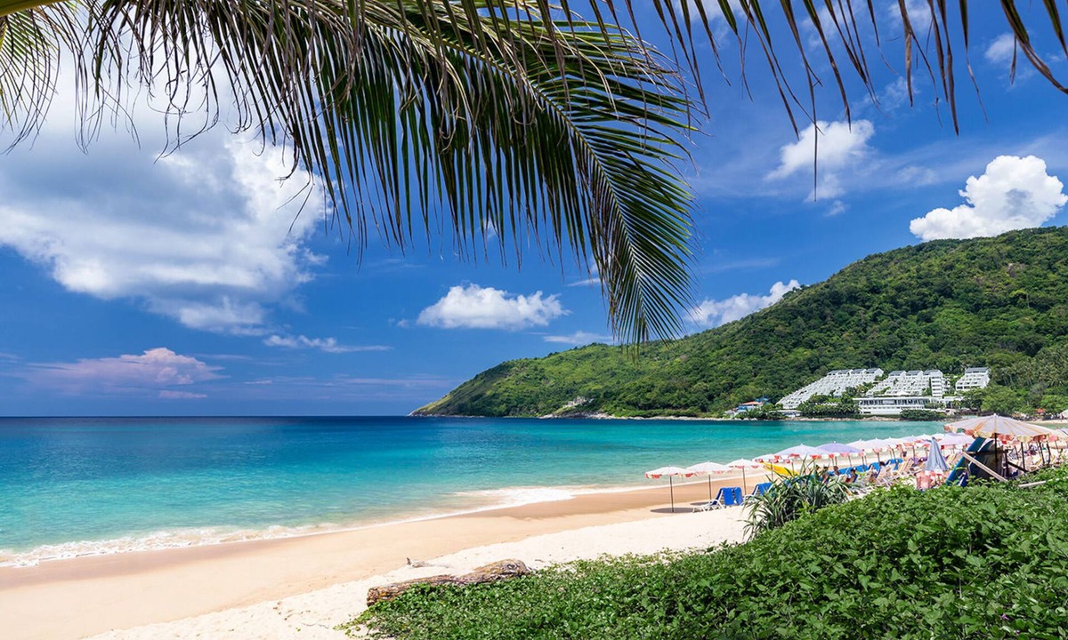 Nai Harn Apartment | SOLA Condo 1BR | Tropical View | NBC Nai Harn Nai