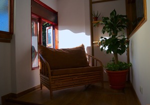 Oasis in the city Apartment B in San Jose
