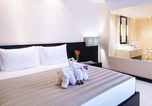 Superior - lovely inviting ambiance - Upto 3 Adults| SU#26