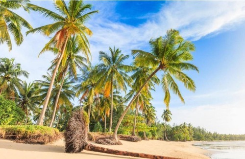 Khao Lak Resort | Apsara Deluxe - beautifully styled| 47 m²/506 ft² | DU#7
