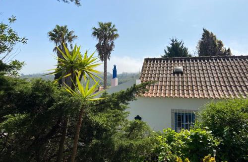 Almoinha House | À-do-Zé-Velho