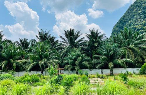 Phangnga Hotel | Ainthira Garden sauna & resort