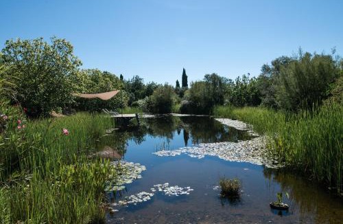 Santo Estevao Hotel | Altanure Casa Terra - Ecological Boutique Stay
