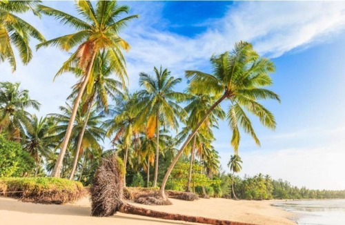 Khao Lak Resort | Apsara Deluxe - beautifully styled| 47 m²/506 ft² | DU#7
