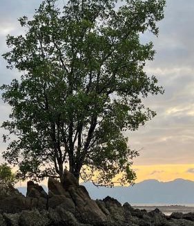 Ao Luek Hotel | Bulan Anda Resort