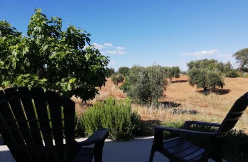 Serpa House | Burrico D`Orada - Rural Stays & Wine Country Tours