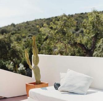 Concelho Bed & Breakfast | Casa Brava - Algarve