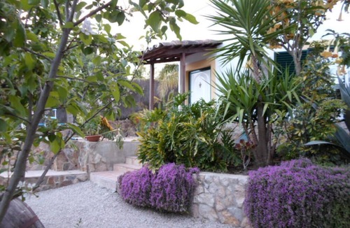 Sao Bras de Alportel House | Charming house in central Algarve in quiet highland, only 18 km to airport