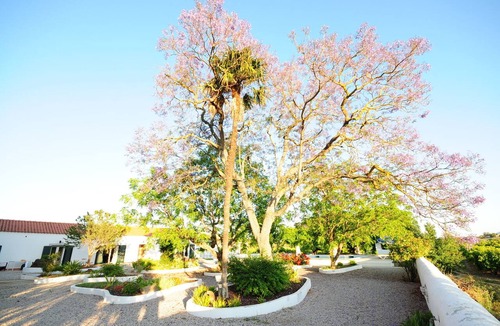 Tavira House | Fantastic Farm in Rural Environment in Luz de Tavira