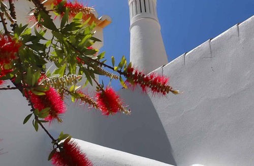 Alporchinhos Apartment | Holiday apartment Ferienanlage Turiquintas