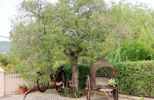 Medronhal House | Holiday Home Monte do Afonso