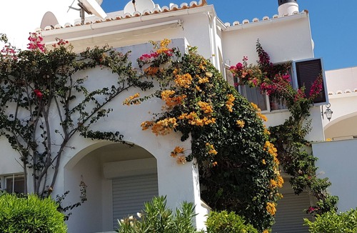 Mato Serrao House | Holiday house with sea view