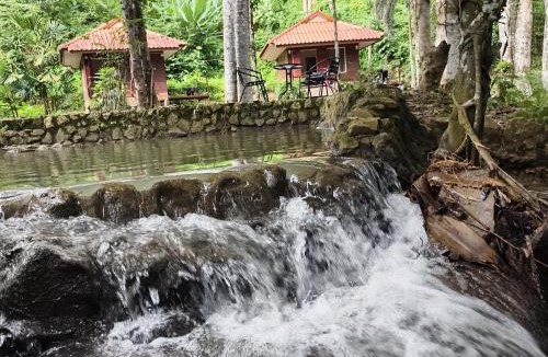 Phanom Hotel | Khaosok Creek and Jungle Resort