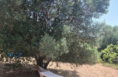 Apra RV Rental | Lovely 1-bedroom campground in Loulé perfect for outdoor lovers