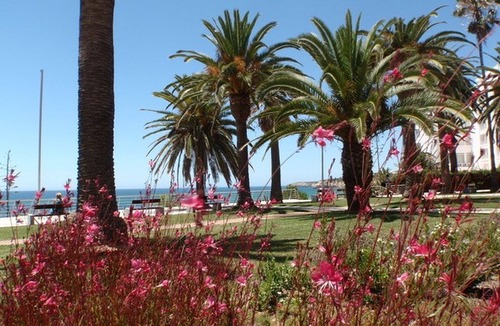 Armacao de Pera Apartment | LUXURY APARTMENT VISTA PANORAMICA WITH MAGNIFICENT SEA VIEW DIRECTLY BY THE SEA