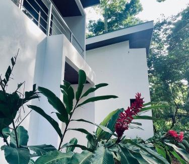 Puerto Jimenez Hotel | Nereus