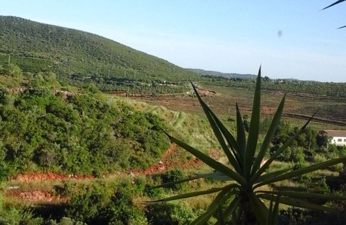Sao Bartolomeu de Messines Apartment | Portuguese Algarvean countryside, relaxing holiday