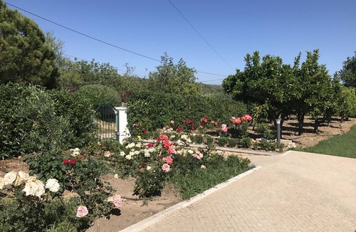 Alfeicao House | Quiet house ideally located with garden and large swimming pool with all comforts