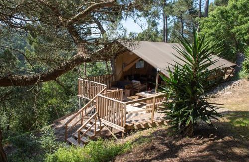 Carvalhal Bemfeito Bed & Breakfast | Quinta Japonesa