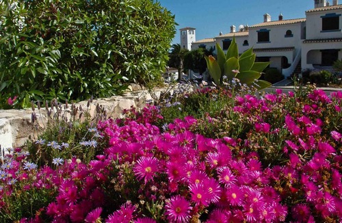 Alporchinhos Apartment | Studio Ferienanlage Turiquintas