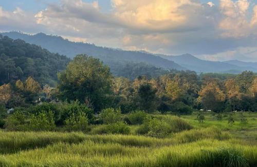 Khlong Sok Other | THANYAWANA Glamping Tents