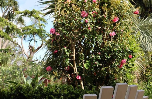 Whenuapai House | Tranquil Early 1900s Retreat in Auckland with Free Parking