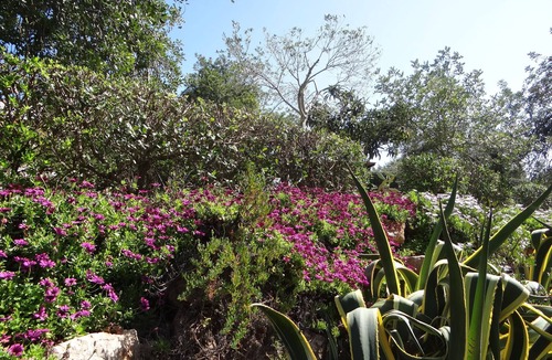 Olhao Villa | Villa 8-10 people 4 km Ria Formosa park and beaches