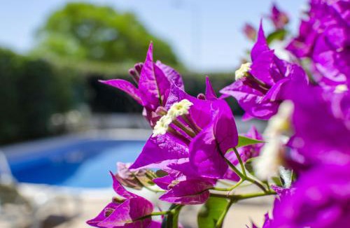 Montechoro Villa | Villa Tulipa by Algarve Holidays