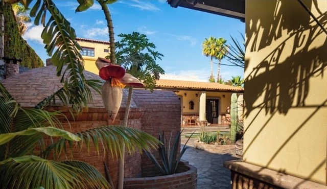 3 unit compound w pool &jacuzzi. DISCOUNTED RATE in Loreto