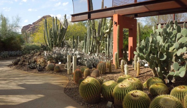 4 Serene Units in 40-Acre Property, Perfect for Special Events! On-Site Dining in Paradise Valley