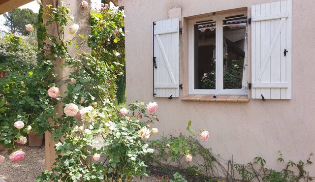 Authentic provencal country house w/private pool in walking distance to market in Cotignac