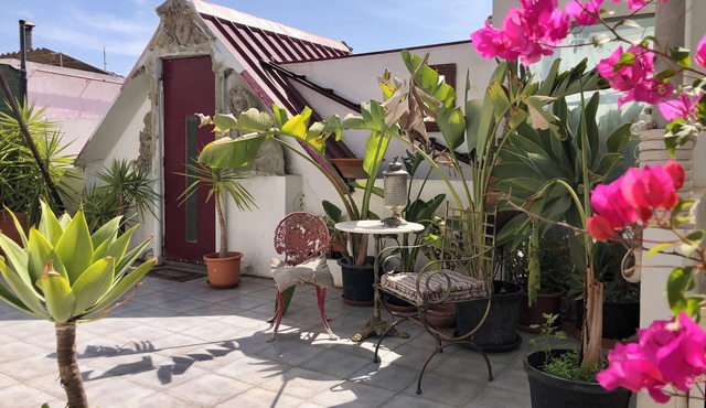 Captivating Studio Apartment in Mexilhoeira Grande
