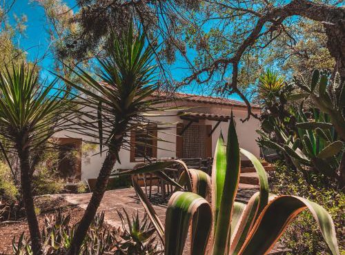 Casa dos Anoes in Odemira