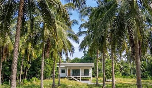 Coconut Villa with Two Bedrooms and Palm View