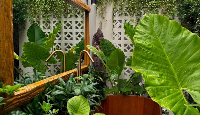 Crown Chaloklum