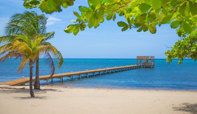 Deluxe Condo w/Massive Patio Lawson Rock - Yellow Fish 211 in Roatan