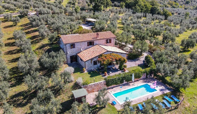 Detached villa with private and fenced pool 1,6km Montecchio, 20km from Orvieto. in Montecchio