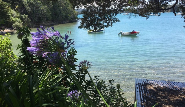 Fabulous Waterfront Getaway in Jamieson Bay