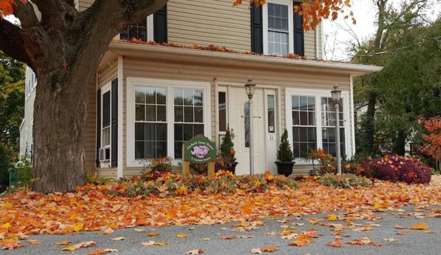 Garfield Guest House - Hawksbill Suite in Luray