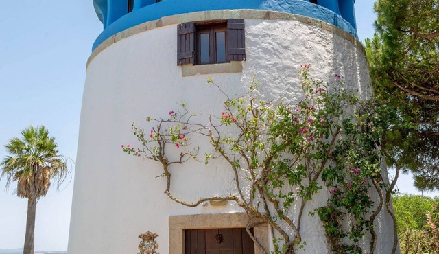Historic Windmill – Panoramic Views