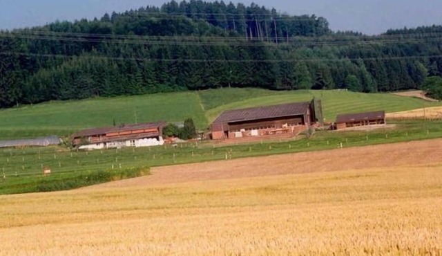 "Hof Eggweid" flat with a view of the mountains in Aesch ZH