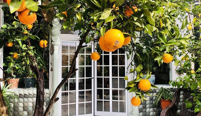 House Sleeps 4 with Private Garden