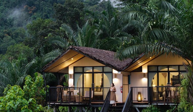 Khaosok Boutique Camps