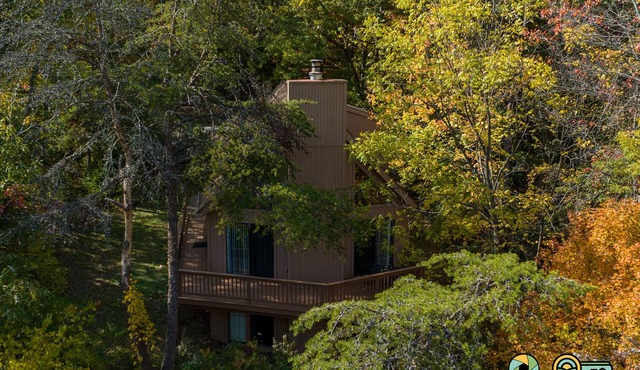Mountainside Chalet (#119) - Valley & Golf Course views! in Basye